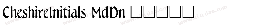 CheshireInitials-MdDn字体转换
