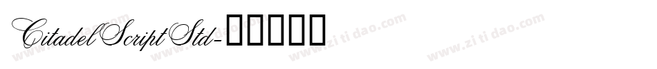 CitadelScriptStd字体转换