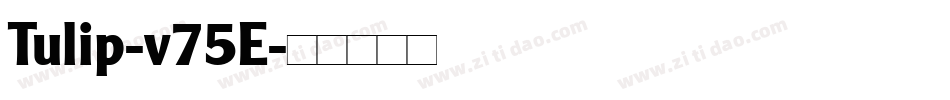 Tulip-v75E字体转换