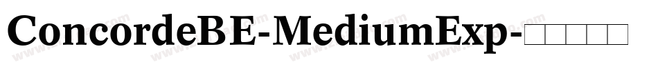 ConcordeBE-MediumExp字体转换