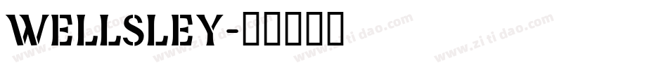 WELLSLEY字体转换