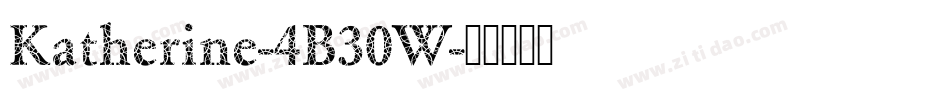 Katherine-4B30W字体转换