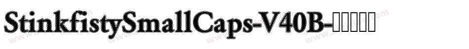 StinkfistySmallCaps-V40B字体转换