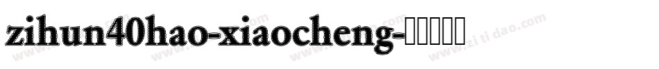 zihun40hao-xiaocheng字体转换