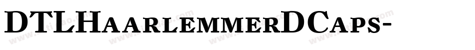DTLHaarlemmerDCaps字体转换