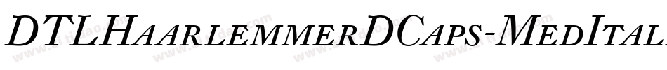 DTLHaarlemmerDCaps-MedItalic字体转换