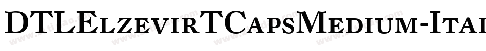 DTLElzevirTCapsMedium-Italic字体转换