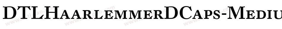 DTLHaarlemmerDCaps-Medium字体转换