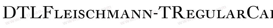 DTLFleischmann-TRegularCaps字体转换