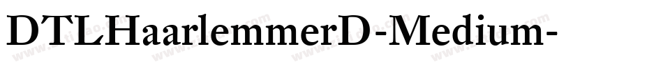 DTLHaarlemmerD-Medium字体转换