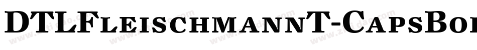 DTLFleischmannT-CapsBoldItalic字体转换