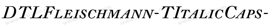 DTLFleischmann-TItalicCaps字体转换