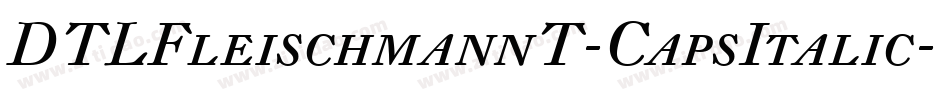 DTLFleischmannT-CapsItalic字体转换