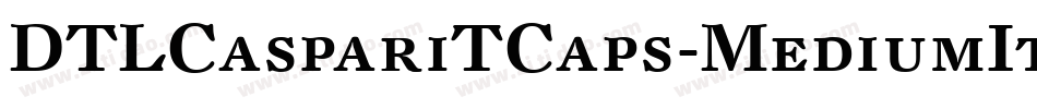 DTLCaspariTCaps-MediumItalic字体转换