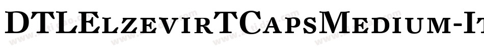 DTLElzevirTCapsMedium-Italic字体转换