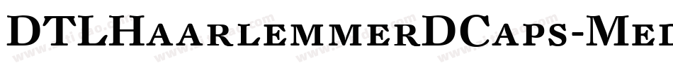 DTLHaarlemmerDCaps-Medium字体转换