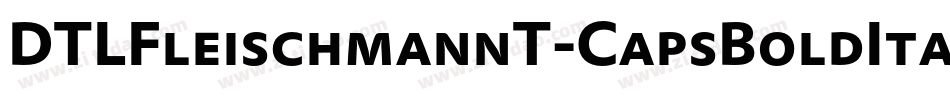 DTLFleischmannT-CapsBoldItalic字体转换