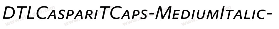 DTLCaspariTCaps-MediumItalic字体转换