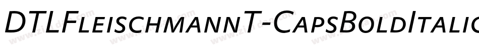 DTLFleischmannT-CapsBoldItalic字体转换