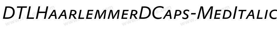DTLHaarlemmerDCaps-MedItalic字体转换
