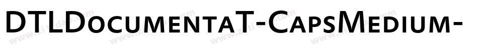 DTLDocumentaT-CapsMedium字体转换