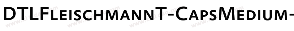 DTLFleischmannT-CapsMedium字体转换