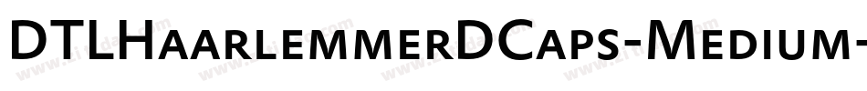 DTLHaarlemmerDCaps-Medium字体转换