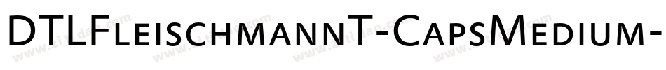 DTLFleischmannT-CapsMedium字体转换