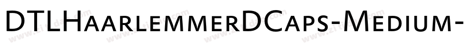 DTLHaarlemmerDCaps-Medium字体转换