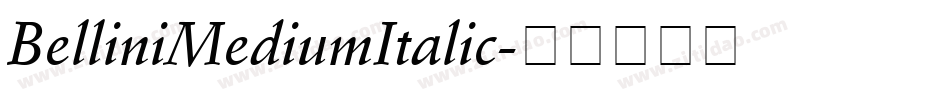 BelliniMediumItalic字体转换