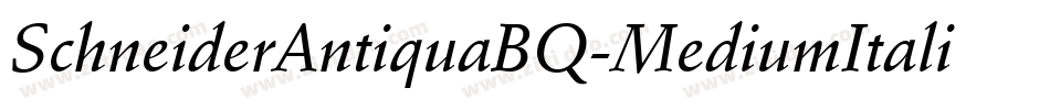 SchneiderAntiquaBQ-MediumItalic字体转换