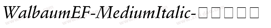 WalbaumEF-MediumItalic字体转换