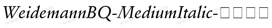 WeidemannBQ-MediumItalic字体转换