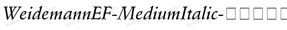 WeidemannEF-MediumItalic字体转换