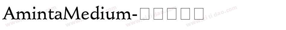 AmintaMedium字体转换