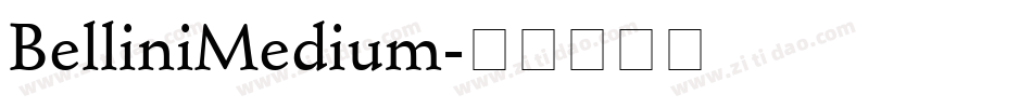 BelliniMedium字体转换