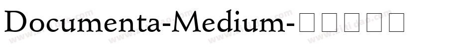 Documenta-Medium字体转换