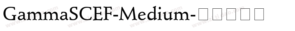 GammaSCEF-Medium字体转换