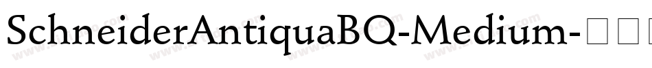 SchneiderAntiquaBQ-Medium字体转换