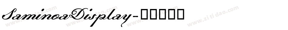 SaminoaDisplay字体转换