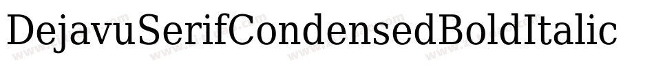 DejavuSerifCondensedBoldItalic-8jpZ字体转换