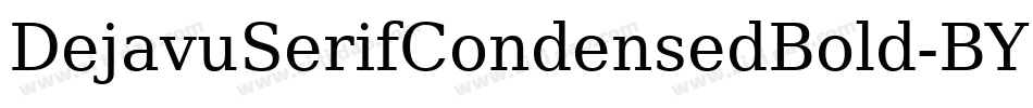 DejavuSerifCondensedBold-BY8G字体转换