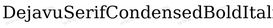 DejavuSerifCondensedBoldItalic-8jpZ字体转换