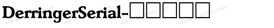 DerringerSerial字体转换