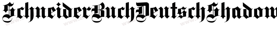 SchneiderBuchDeutschShadowTwo-87YD字体转换