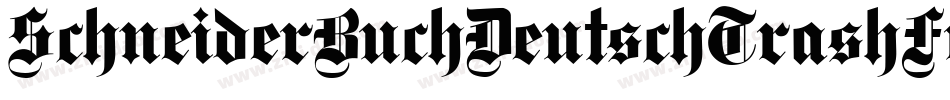 SchneiderBuchDeutschTrashFree-YlWa字体转换