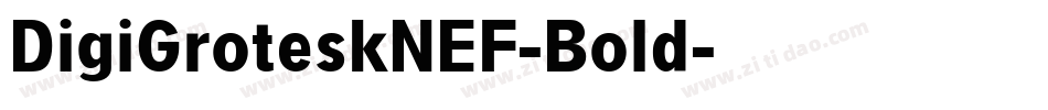 DigiGroteskNEF-Bold字体转换