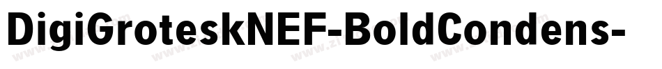 DigiGroteskNEF-BoldCondens字体转换