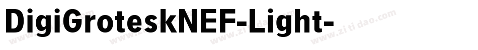 DigiGroteskNEF-Light字体转换