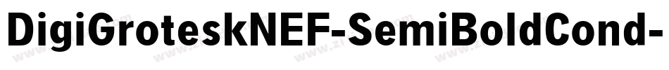 DigiGroteskNEF-SemiBoldCond字体转换